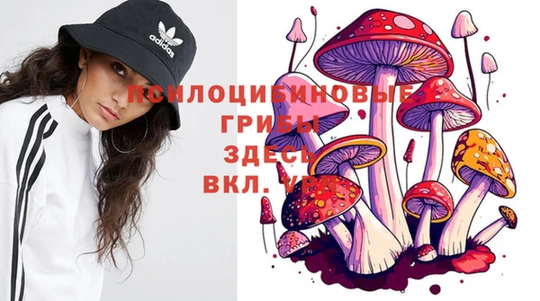 гидропоника Абинск