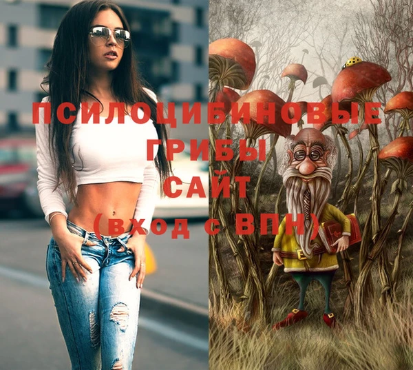 ешки Алексин