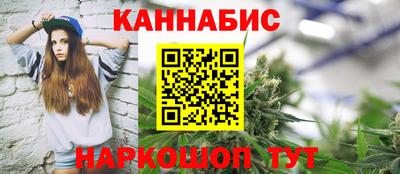 прущие грибы Пенза