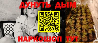 прущие грибы Пенза