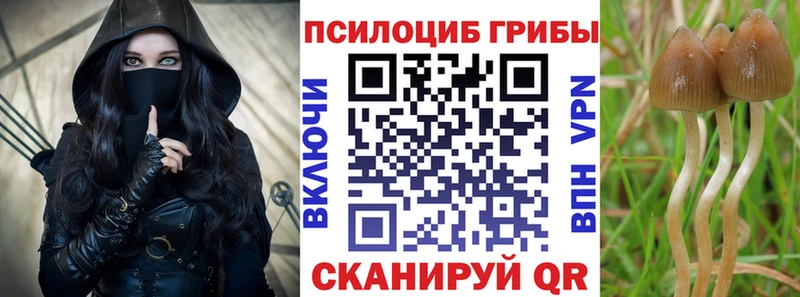 купить закладку  KRAKEN маркетплейс  Псилоцибиновые грибы Cubensis  Иркутск 