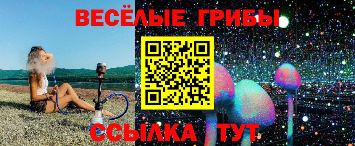 Иркутск  Псилоцибиновые грибы мицелий  Вход с VPN  Галлюциногенные грибы мухоморы 