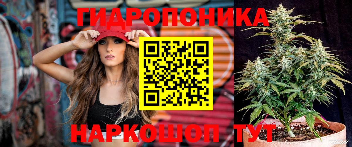 Бошки марихуана ГИДРОПОН  Марихуана план  Бошки Шишки AK-47  Иркутск  Вход с VPN 